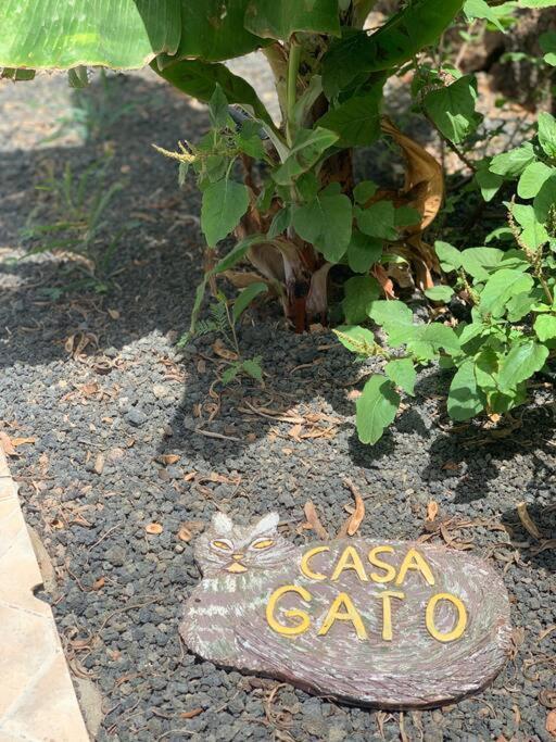 Appartamento Casa Gato Corralejo Esterno foto